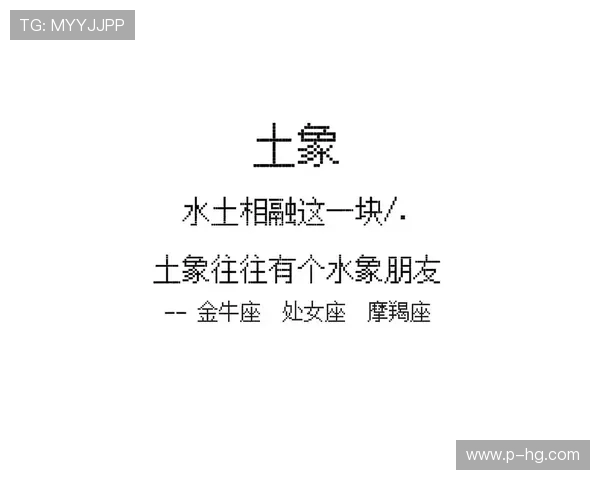 水象与土象性格对比下的游戏体验与互动方式分析